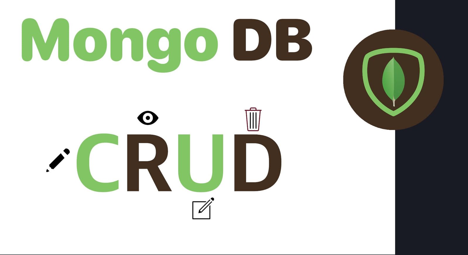 Perform CRUD Operations with MongoDB