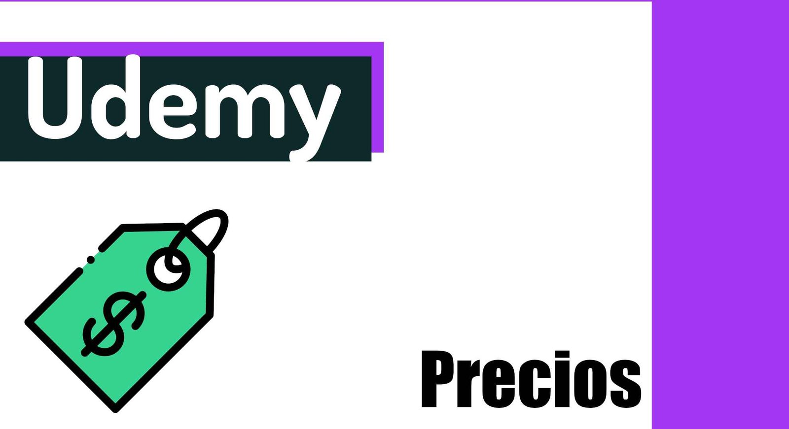 Los precios en udemy no tienen sentido...